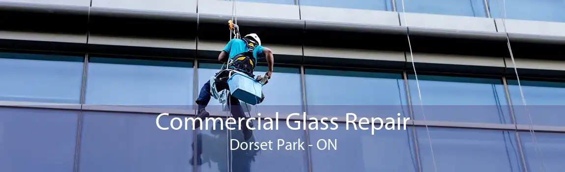 Commercial Glass Repair Dorset Park - ON