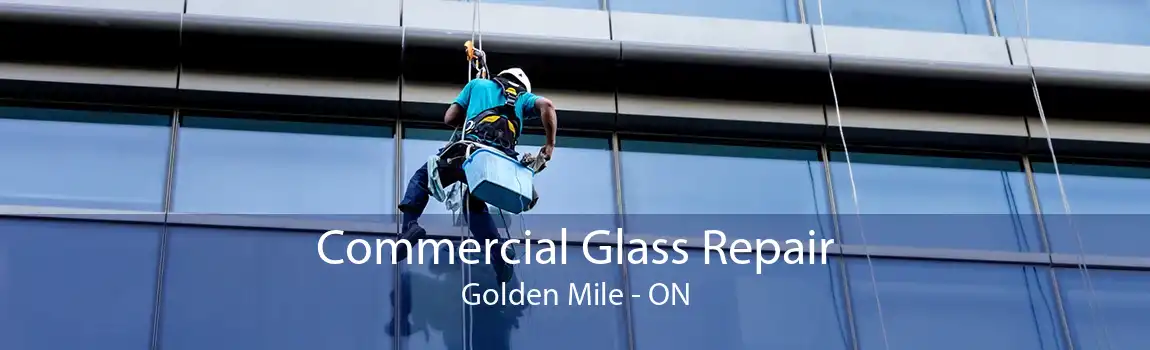 Commercial Glass Repair Golden Mile - ON