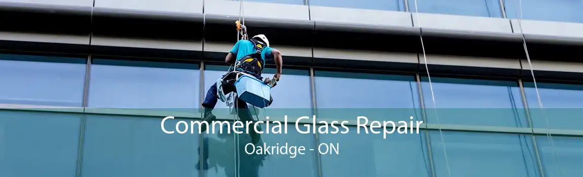 Commercial Glass Repair Oakridge - ON