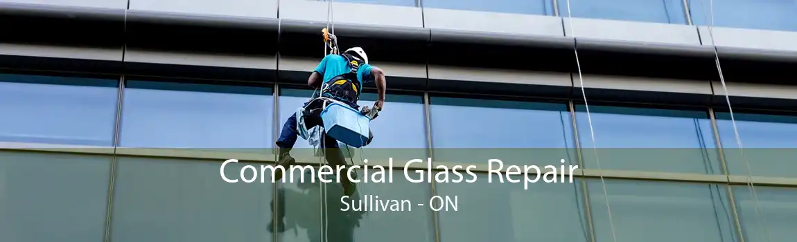 Commercial Glass Repair Sullivan - ON