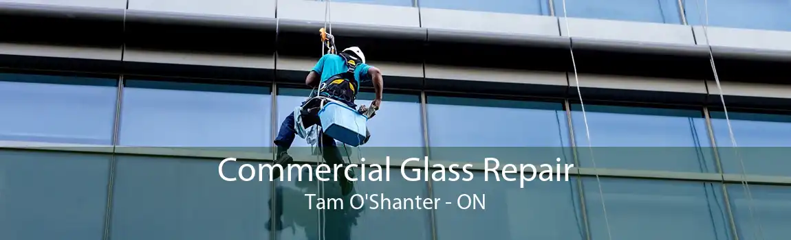 Commercial Glass Repair Tam O'Shanter - ON