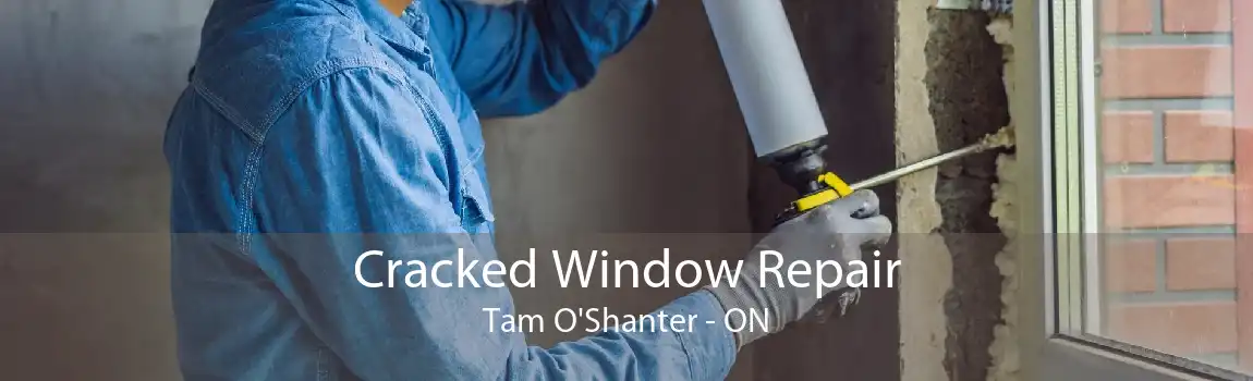 Cracked Window Repair Tam O'Shanter - ON