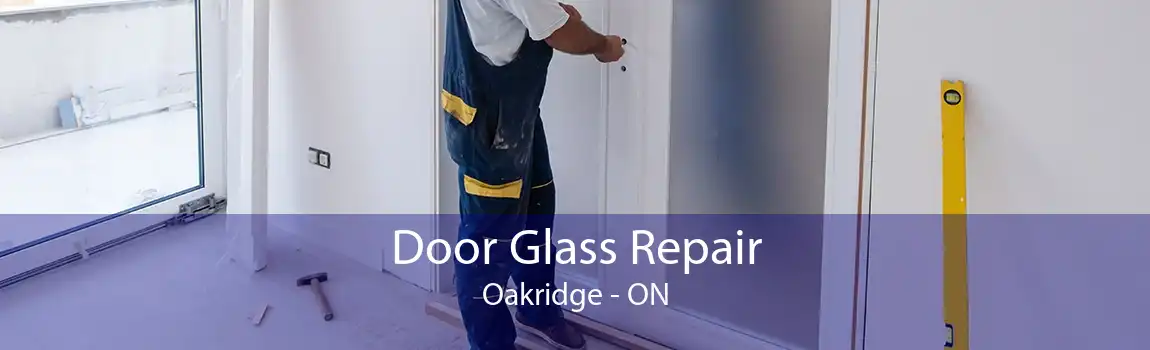 Door Glass Repair Oakridge - ON