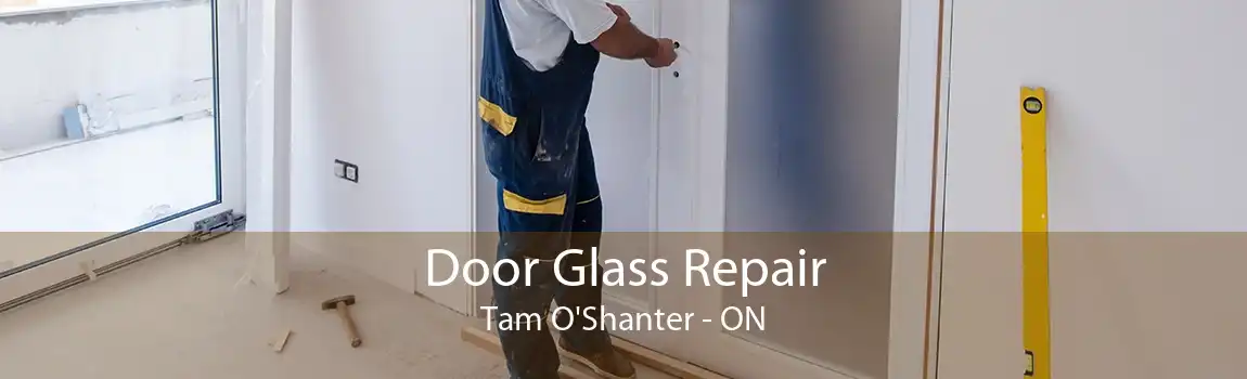Door Glass Repair Tam O'Shanter - ON