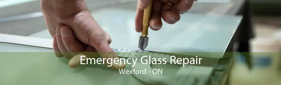 Emergency Glass Repair Wexford - ON