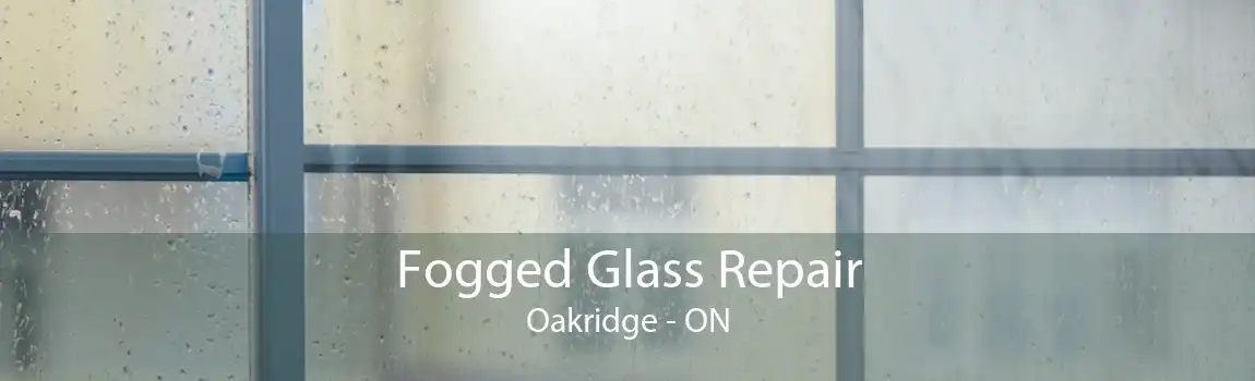 Fogged Glass Repair Oakridge - ON