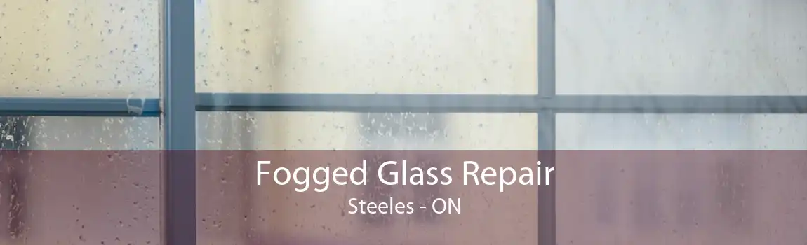 Fogged Glass Repair Steeles - ON