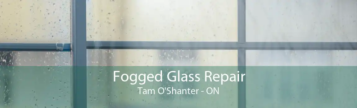 Fogged Glass Repair Tam O'Shanter - ON