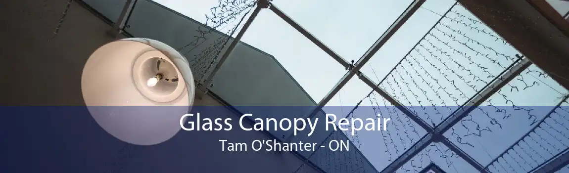 Glass Canopy Repair Tam O'Shanter - ON