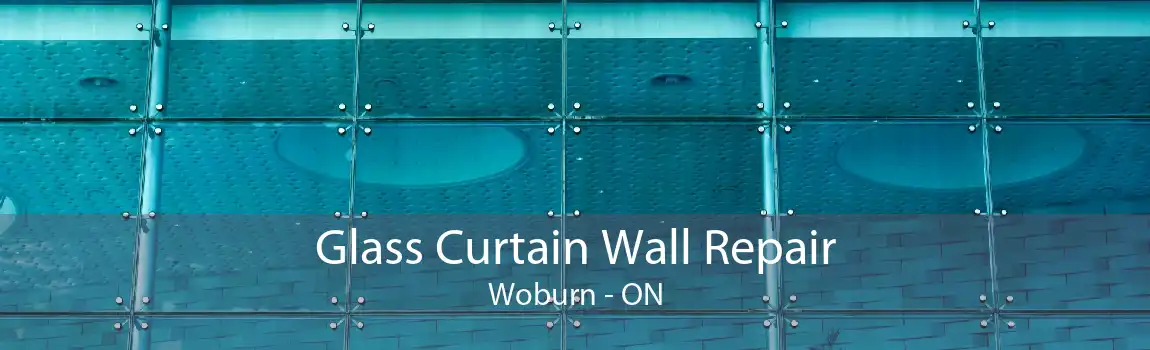 Glass Curtain Wall Repair Woburn - ON