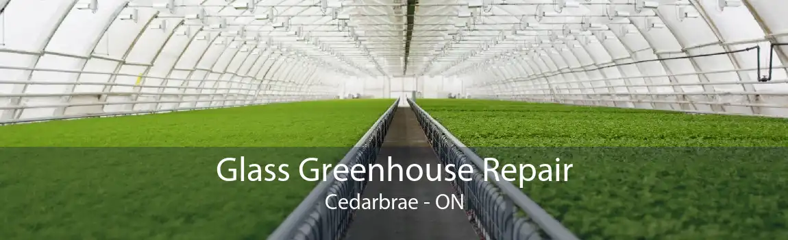 Glass Greenhouse Repair Cedarbrae - ON