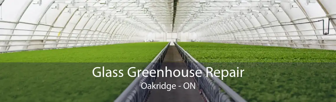 Glass Greenhouse Repair Oakridge - ON