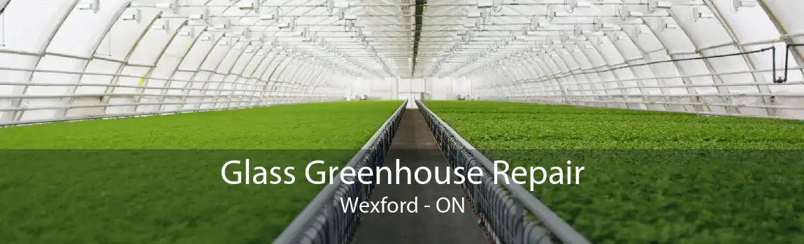 Glass Greenhouse Repair Wexford - ON