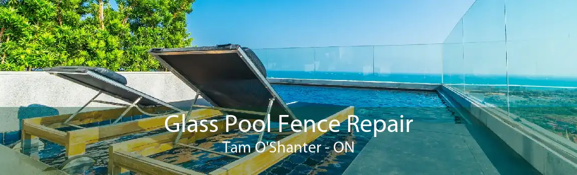 Glass Pool Fence Repair Tam O'Shanter - ON