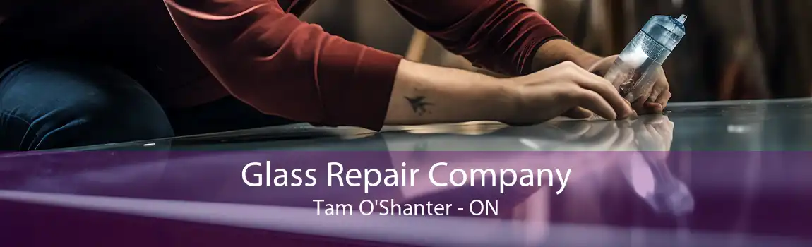 Glass Repair Company Tam O'Shanter - ON