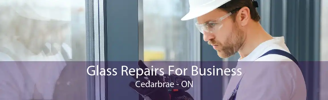 Glass Repairs For Business Cedarbrae - ON