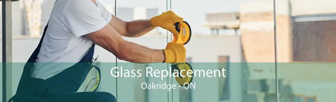 Glass Replacement Oakridge - ON