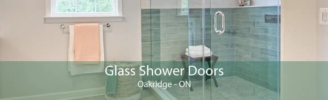 Glass Shower Doors Oakridge - ON