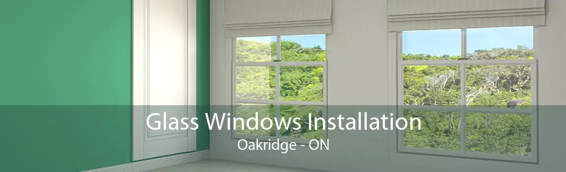 Glass Windows Installation Oakridge - ON