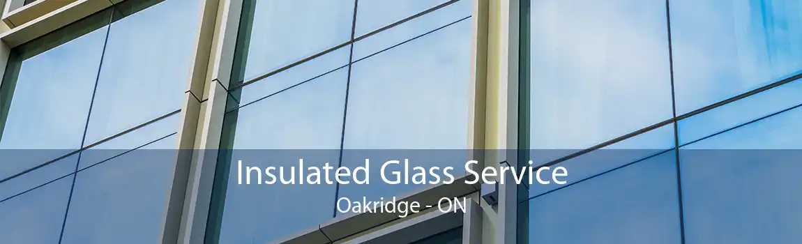 Insulated Glass Service Oakridge - ON