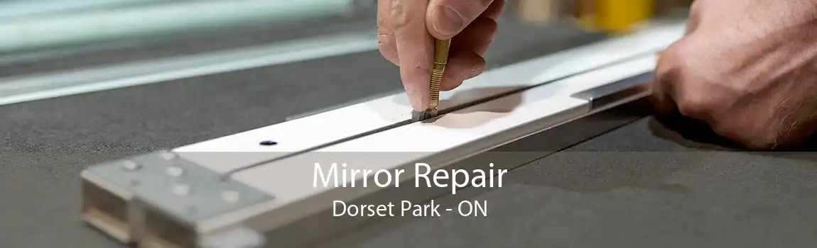 Mirror Repair Dorset Park - ON