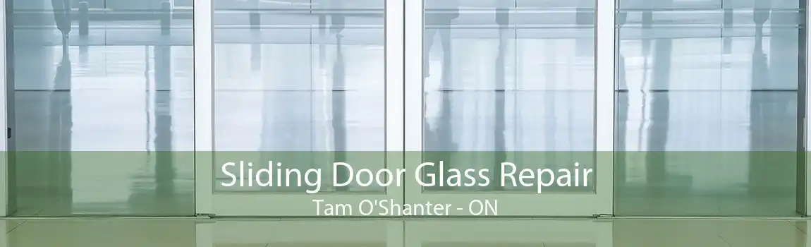 Sliding Door Glass Repair Tam O'Shanter - ON