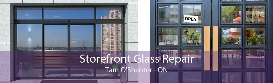 Storefront Glass Repair Tam O'Shanter - ON