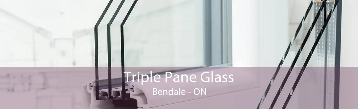 Triple Pane Glass Bendale - ON