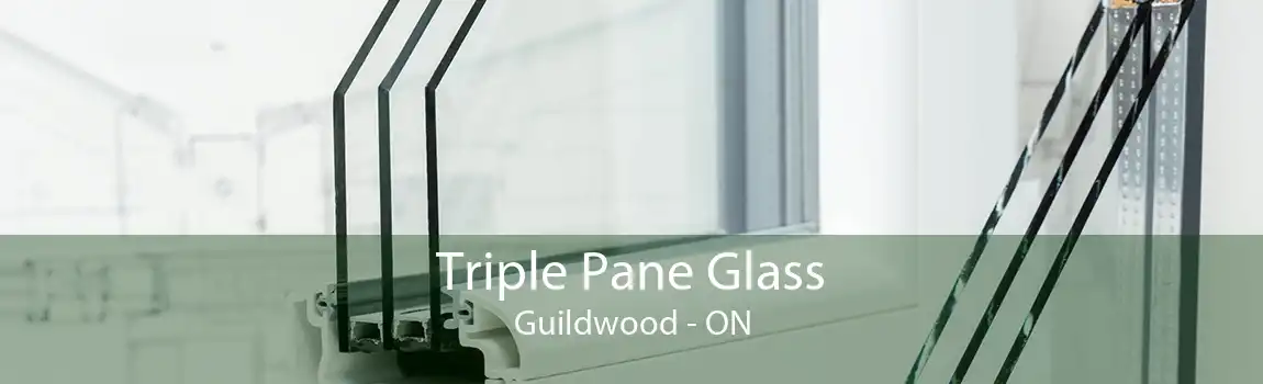 Triple Pane Glass Guildwood - ON