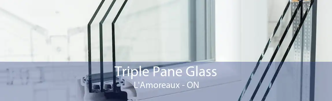 Triple Pane Glass L'Amoreaux - ON