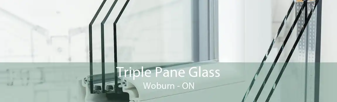 Triple Pane Glass Woburn - ON