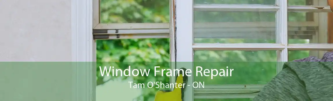 Window Frame Repair Tam O'Shanter - ON