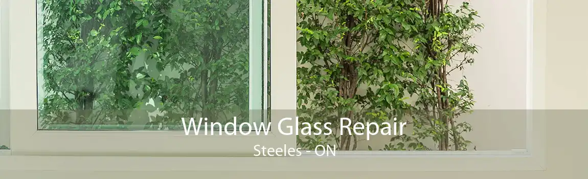 Window Glass Repair Steeles - ON