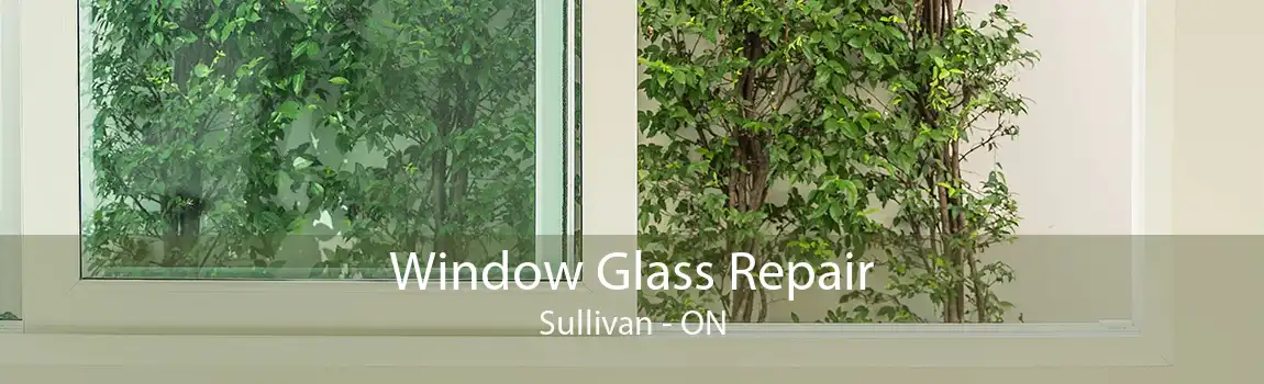 Window Glass Repair Sullivan - ON