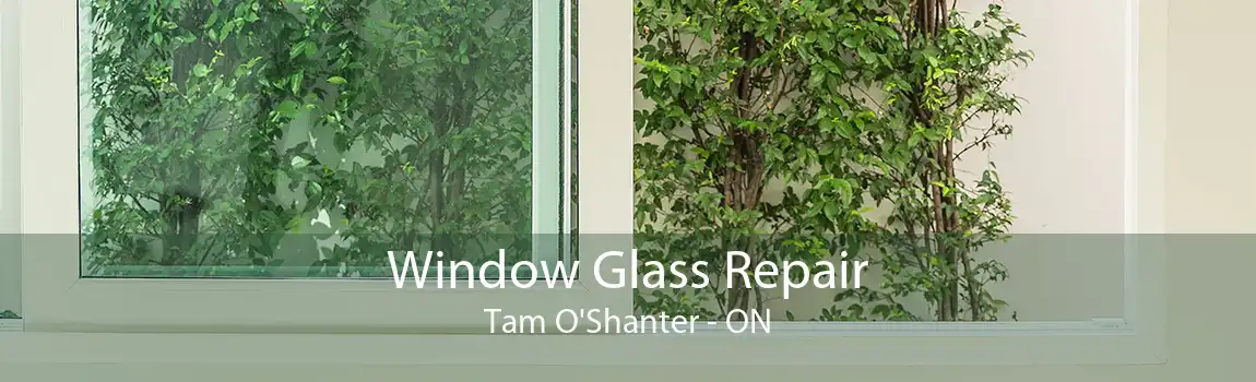 Window Glass Repair Tam O'Shanter - ON