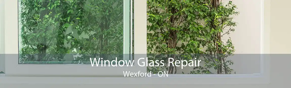 Window Glass Repair Wexford - ON