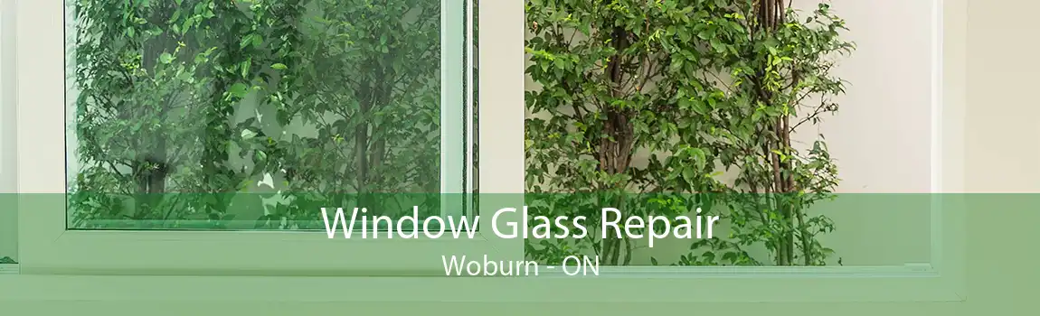 Window Glass Repair Woburn - ON