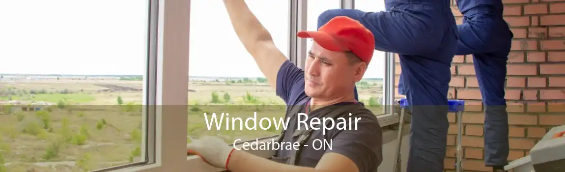 Window Repair Cedarbrae - ON