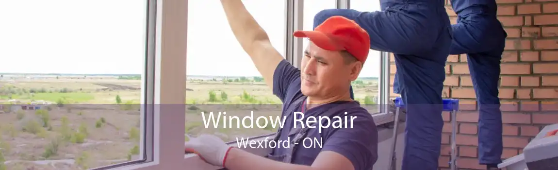 Window Repair Wexford - ON
