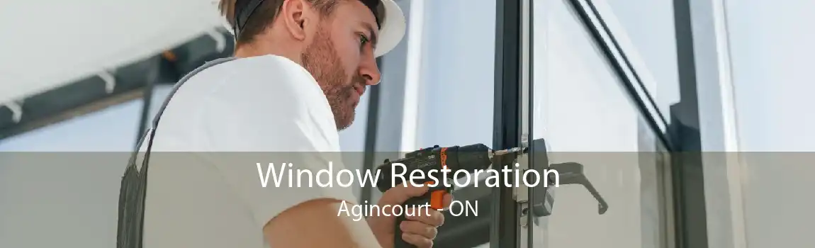 Window Restoration Agincourt - ON