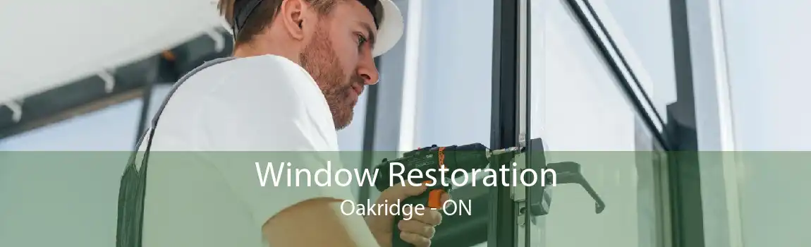 Window Restoration Oakridge - ON