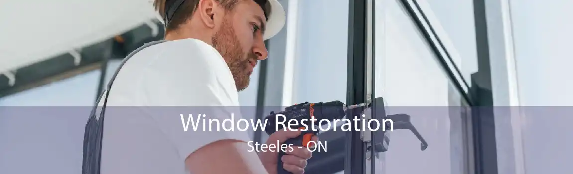 Window Restoration Steeles - ON