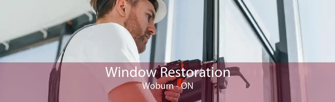 Window Restoration Woburn - ON