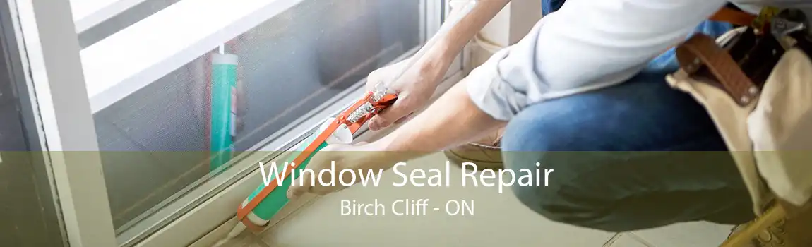 Window Seal Repair Birch Cliff - ON