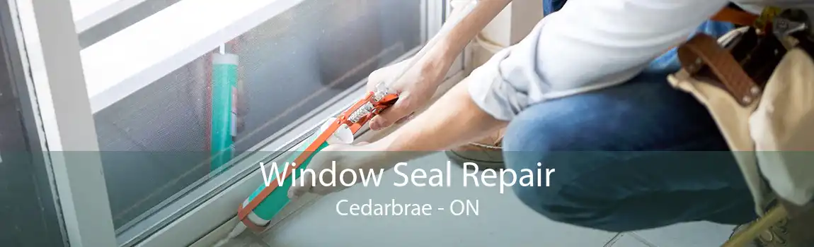 Window Seal Repair Cedarbrae - ON