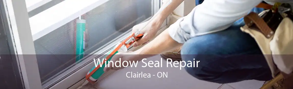 Window Seal Repair Clairlea - ON