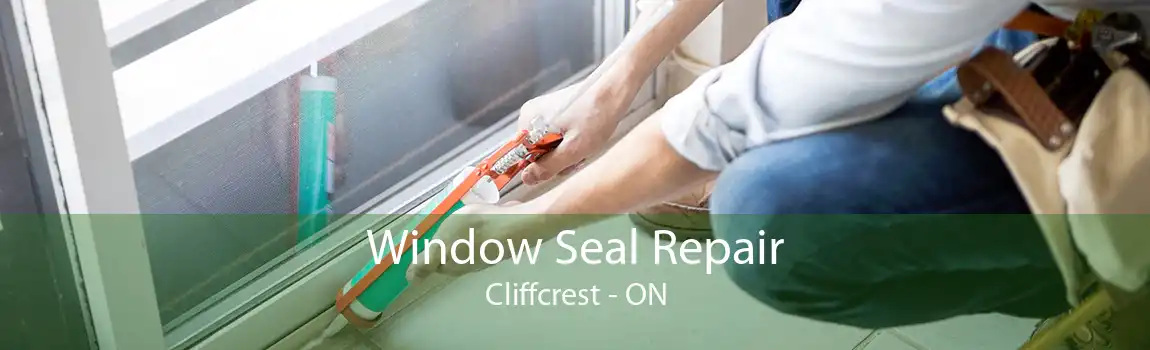 Window Seal Repair Cliffcrest - ON