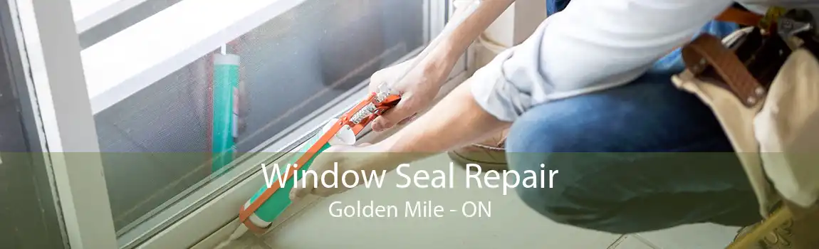 Window Seal Repair Golden Mile - ON