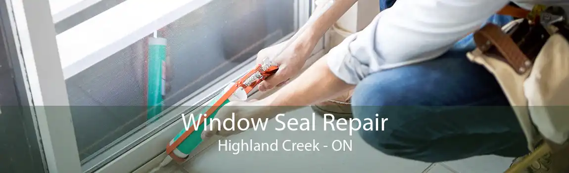 Window Seal Repair Highland Creek - ON