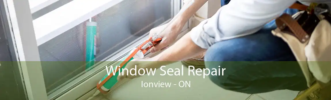 Window Seal Repair Ionview - ON